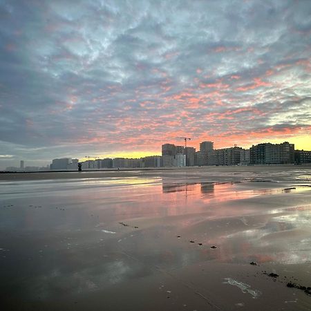Oostende Luxury Seaview Studio - Large Terrace- Swimming Pool - Parking Exterior photo