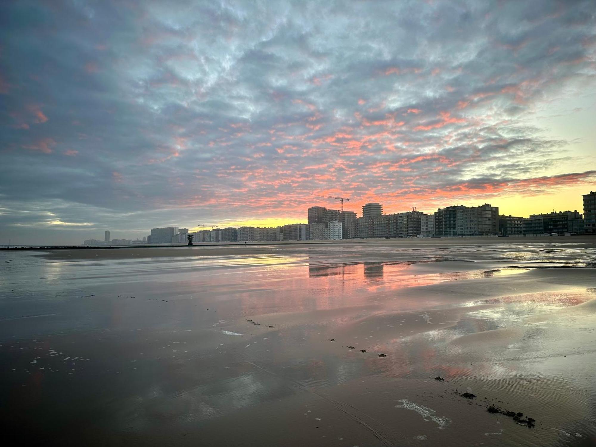 Oostende Luxury Seaview Studio - Large Terrace- Swimming Pool - Parking Exterior photo